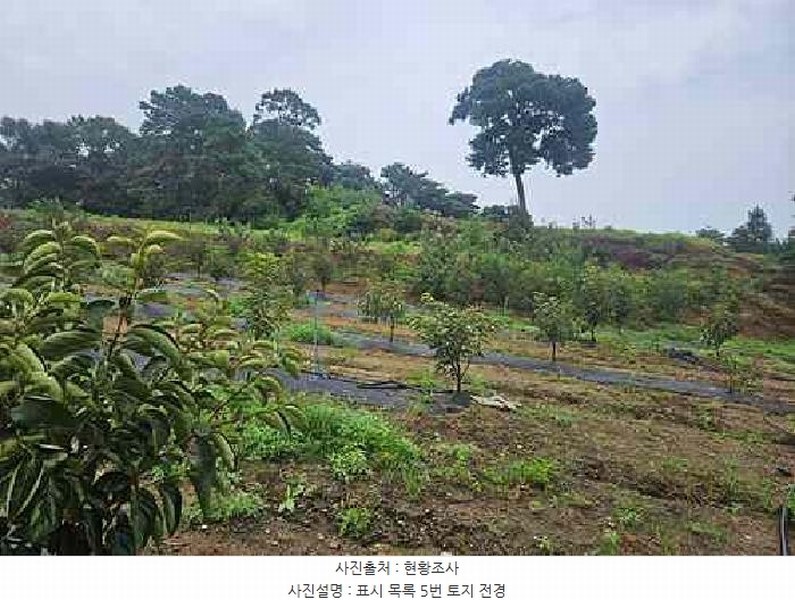 2025타경42503 경기도 평택시 팽성읍 석봉리 148 농지 경매 이미지