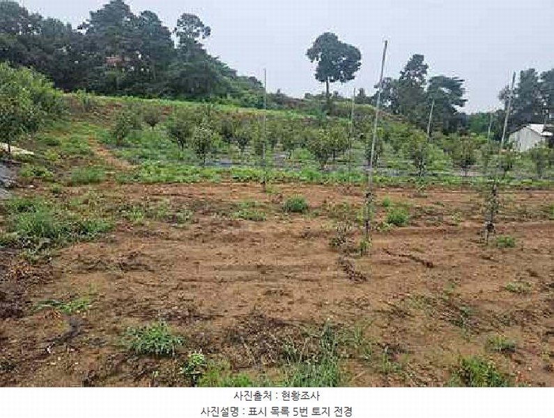 2025타경42503 경기도 평택시 팽성읍 석봉리 148 농지 경매 이미지
