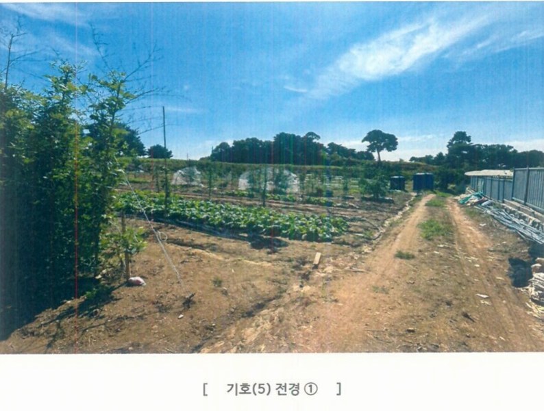 2025타경42503 경기도 평택시 팽성읍 석봉리 148 농지 경매 이미지