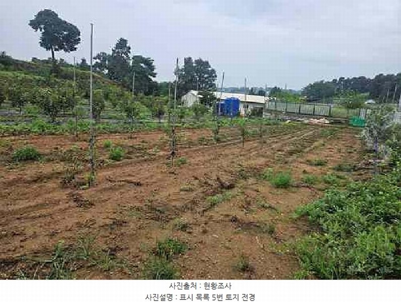 2025타경42503 경기도 평택시 팽성읍 석봉리 148 농지 경매 이미지