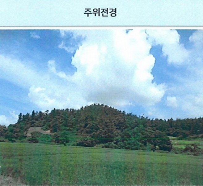 2025타경51366 전라남도 신안군 압해읍 가룡리 산128-1 임야 경매 이미지