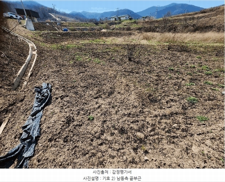 2025타경186 경상북도 청송군 진보면 고현리 370 농지 경매 이미지