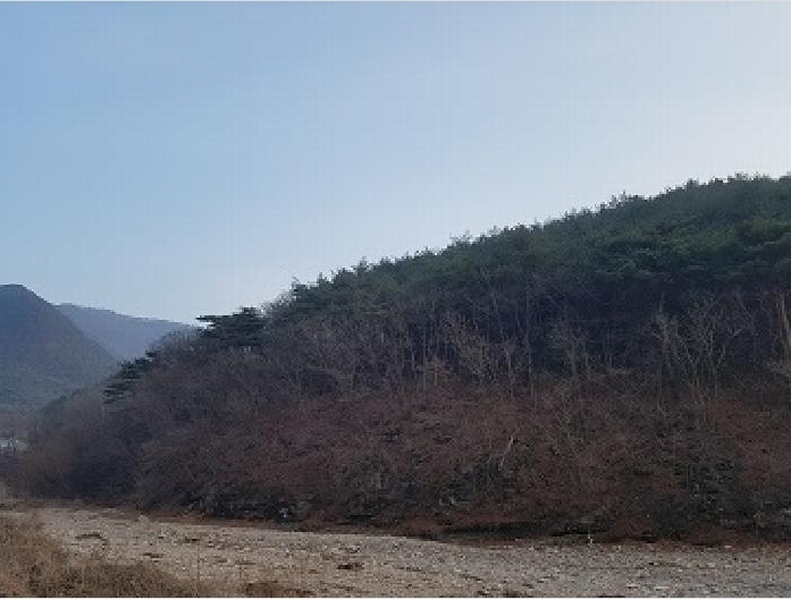 2025타경10060 경상북도 청송군 파천면 옹점리 산77 임야 경매 이미지