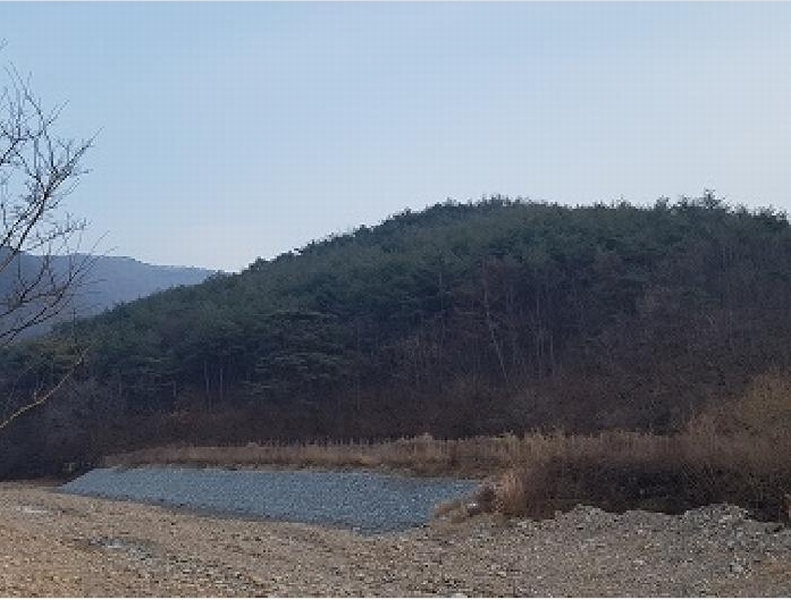 2025타경10060 경상북도 청송군 파천면 옹점리 산76-1 임야 경매 이미지