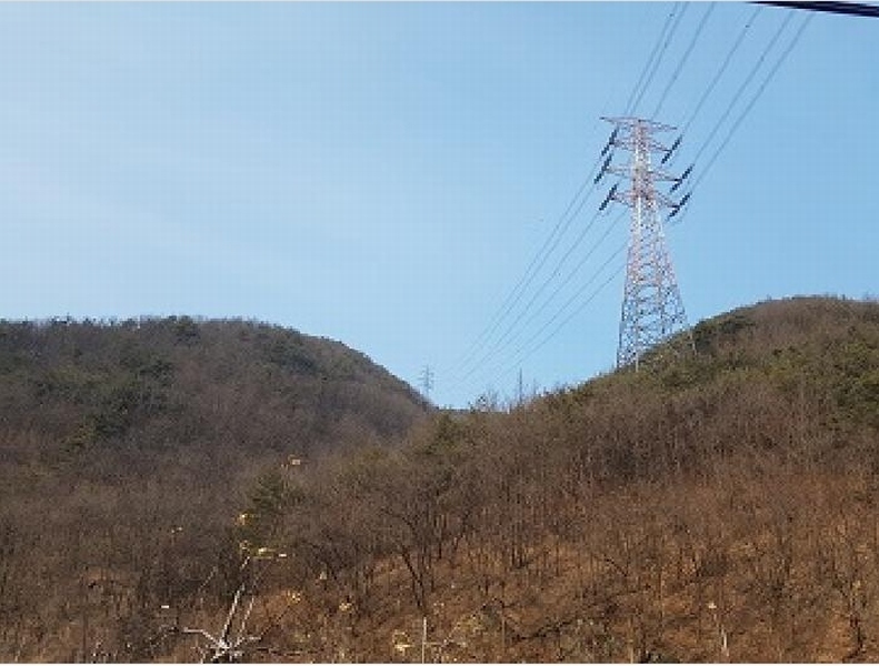2025타경10060 경상북도 청송군 안덕면 지소리 산27 임야 경매 이미지