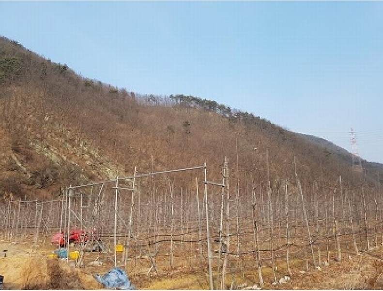 2025타경10060 경상북도 청송군 안덕면 지소리 산27 임야 경매 이미지