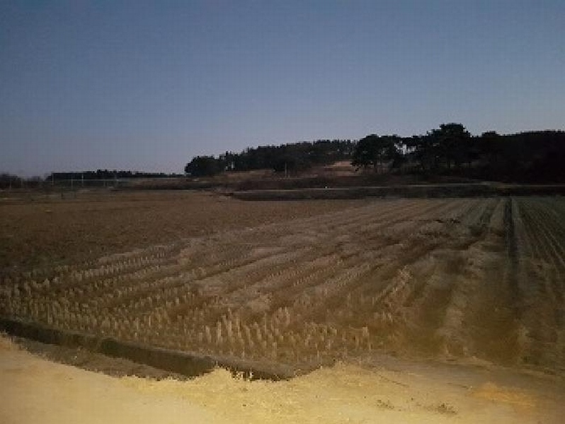 2025타경10126 경상북도 의성군 단북면 성암리 702 농지 경매 이미지