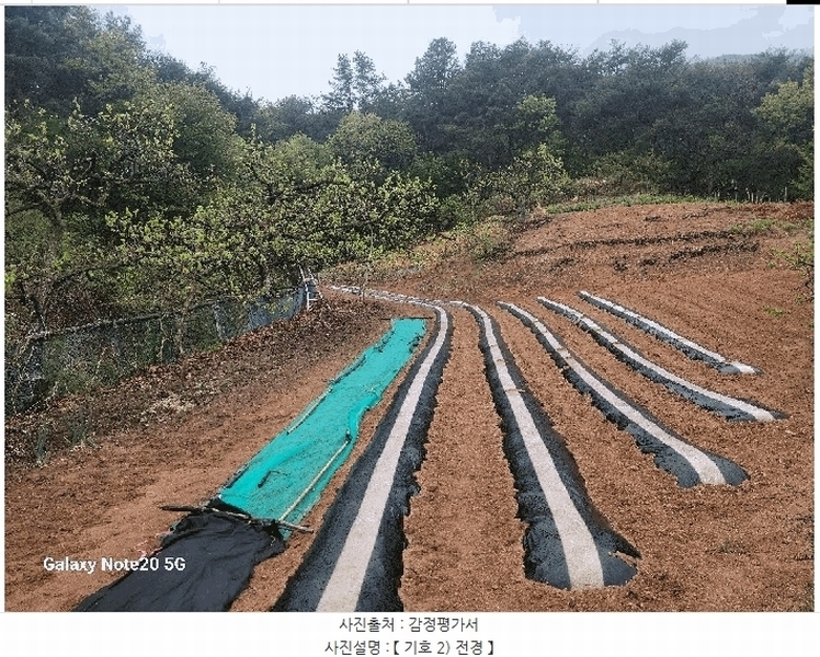 2025타경7776 경상북도 청도군 매전면 금곡리 944 농지 경매 이미지