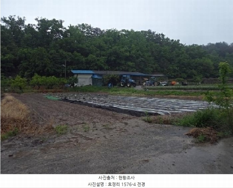 2025타경10327 경상남도 창녕군 대지면 효정리 1576-4 농지 경매 이미지