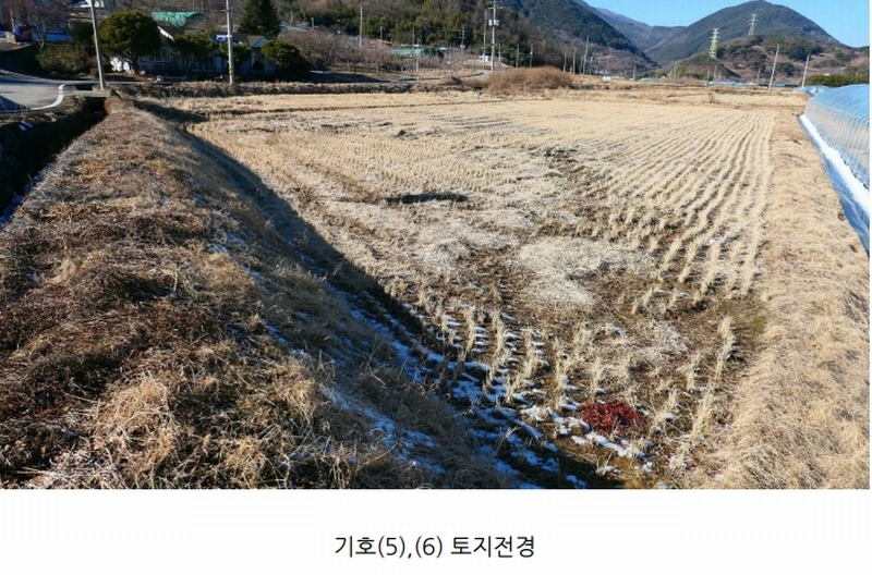 2025타경418 경상남도 산청군 단성면 자양리 249-1 농지 경매 이미지