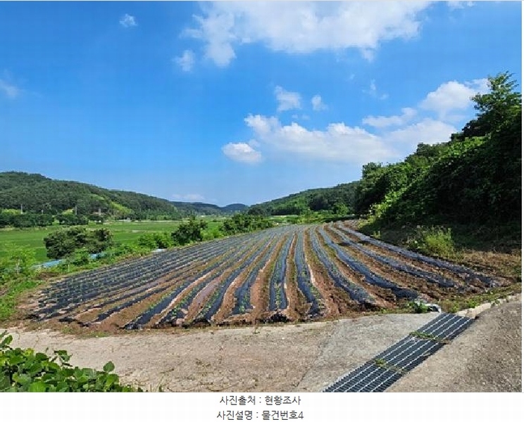 2025타경683 경상남도 진주시 지수면 금곡리 603 농지 경매 이미지