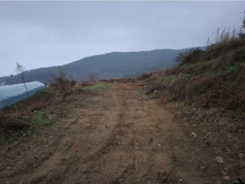 2025타경30654 경상남도 남해군 창선면 광천리 794 농지 경매 이미지