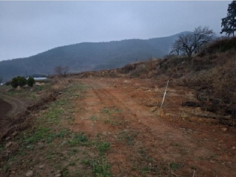 2025타경30654 경상남도 남해군 창선면 광천리 794 농지 경매 이미지