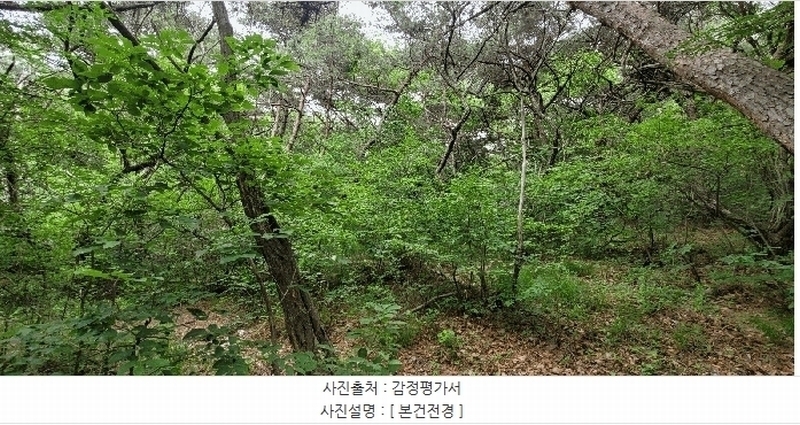 2025타경10998 경상북도 구미시 형곡동 산87-15 임야 경매 이미지