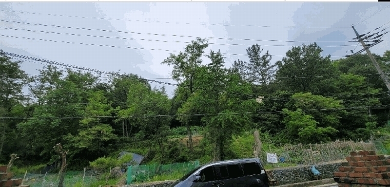 2025타경10998 경상북도 구미시 형곡동 산87-15 임야 경매 이미지