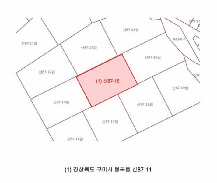 2025타경10998 경상북도 구미시 형곡동 산87-15 임야 경매 이미지