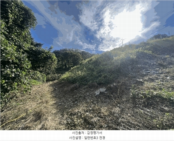 2025타경20896 경상남도 함안군 칠북면 이령리 860-3 과수원 경매 이미지