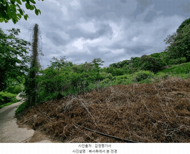 2025타경11004 경상북도 김천시 대광동 577-7 농지 경매 이미지