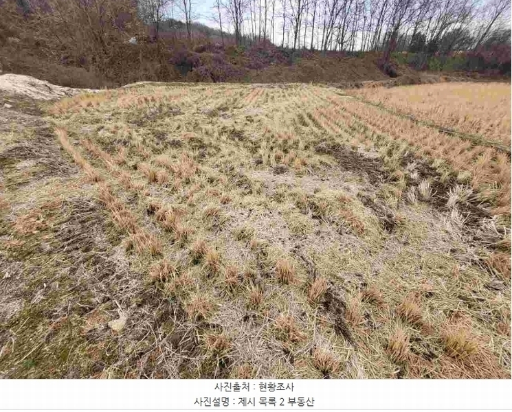 2023타경37702 경기도 여주시 세종대왕면 왕대리 산73-2 임야 경매 이미지