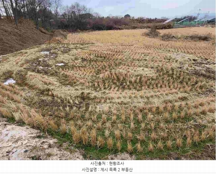 2023타경37702 경기도 여주시 세종대왕면 왕대리 산73-2 임야 경매 이미지