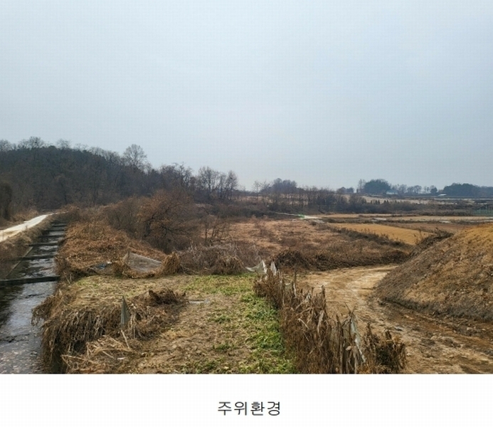 2023타경37702 경기도 여주시 세종대왕면 왕대리 산73-2 임야 경매 이미지