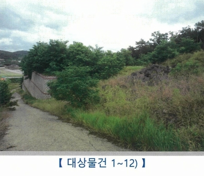 2024타경9556 경상북도 청도군 이서면 가금리 산26-10 임야 경매 이미지