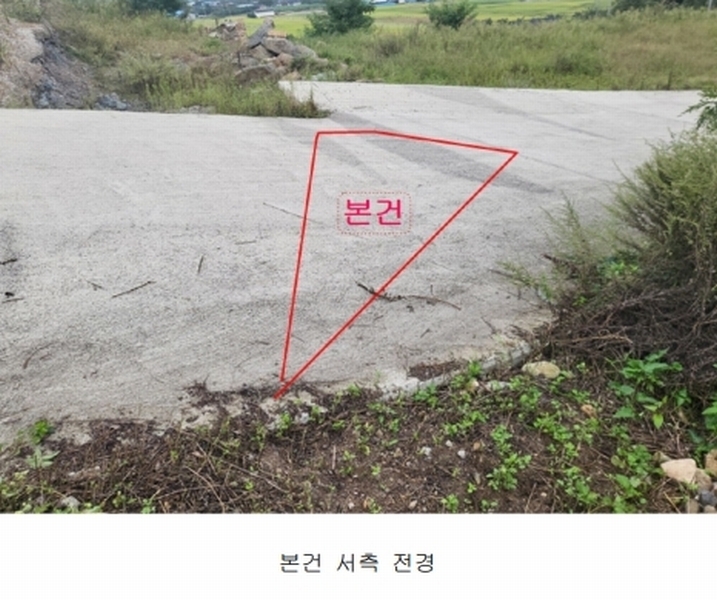 2024타경9556 경상북도 청도군 이서면 가금리 산26-10 임야 경매 이미지