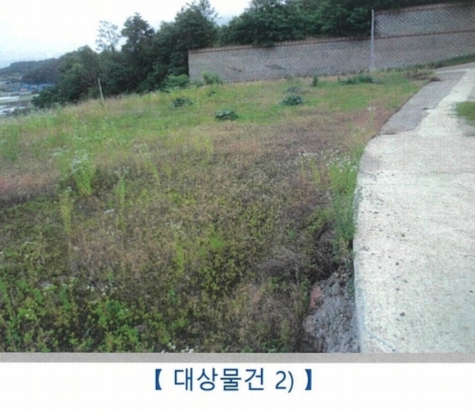 2024타경9556 경상북도 청도군 이서면 가금리 산26-3 임야 경매 이미지