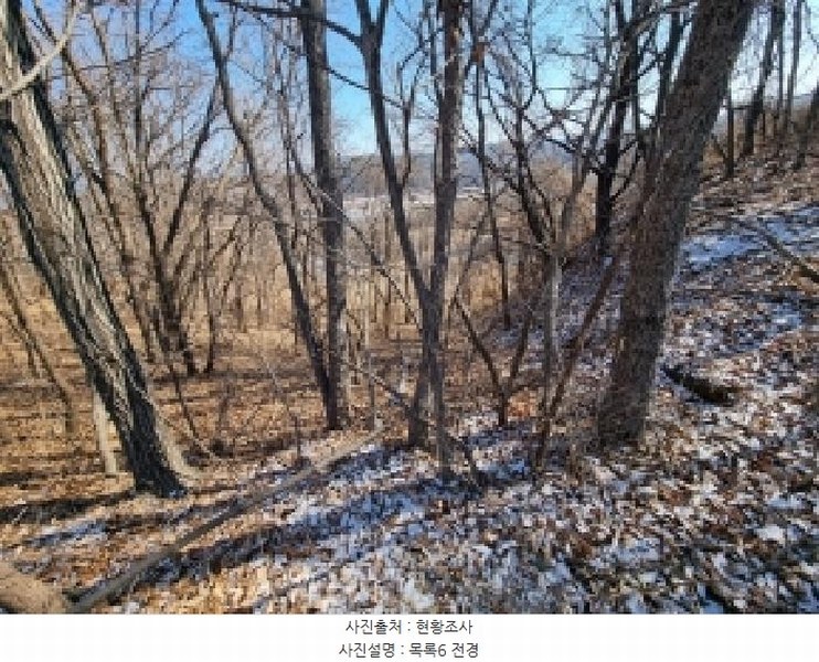 2026타경600042 충청남도 금산군 금산읍 신대리 148-2 농지 경매 이미지