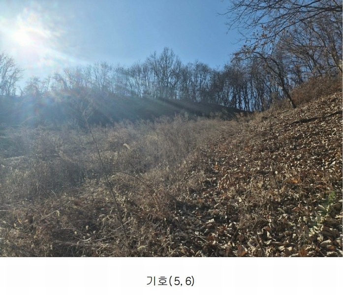 2026타경600042 충청남도 금산군 금산읍 신대리 148-2 농지 경매 이미지