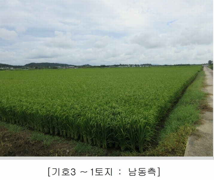 2025타경5368 전라남도 나주시 동강면 장동리 1446-1 농지 경매 이미지