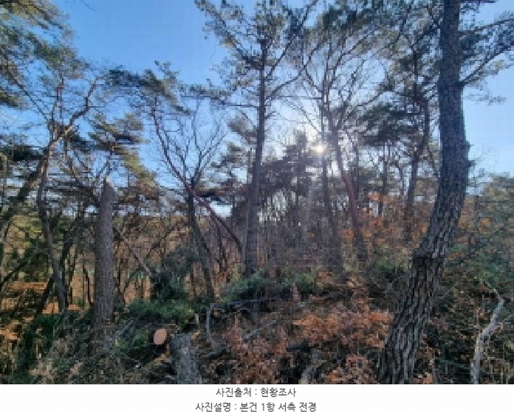 2026타경10 전라남도 순천시 주암면 궁각리 산88-1 임야 경매 이미지