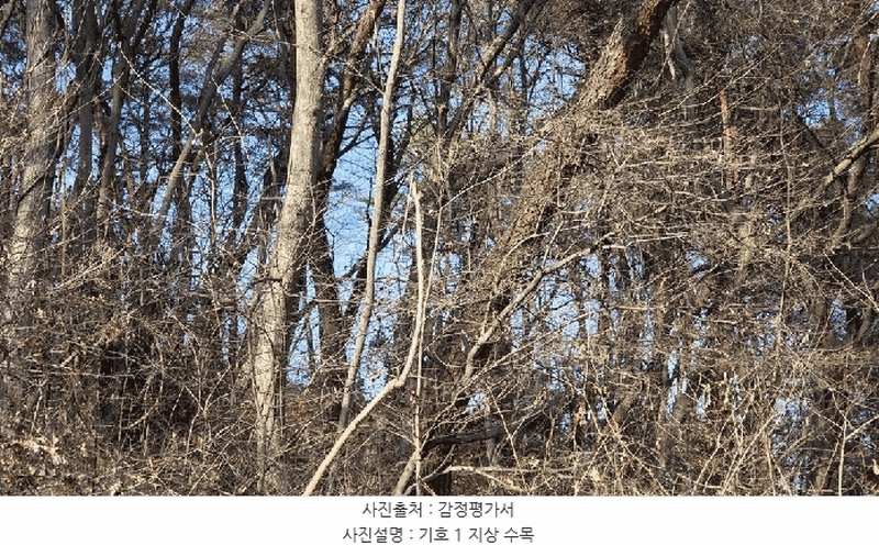 2026타경10 전라남도 순천시 주암면 궁각리 산88-1 임야 경매 이미지
