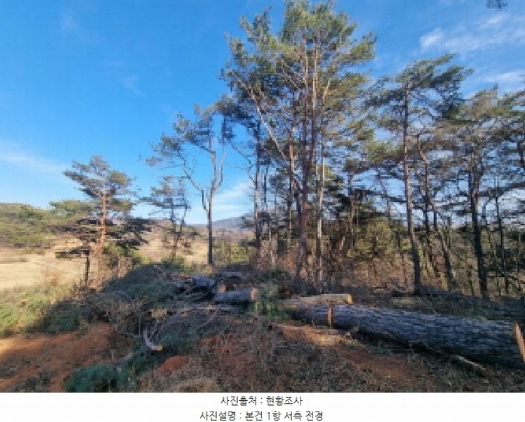2026타경10 전라남도 순천시 주암면 궁각리 산88-1 임야 경매 이미지