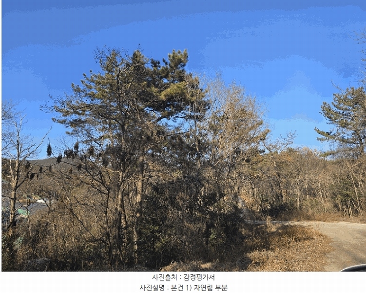 2026타경50056 전라남도 여수시 소라면 봉두리 산438 임야 경매 이미지