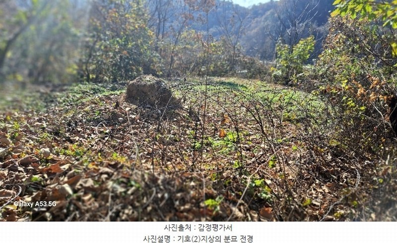 2024타경88163 경기도 연천군 신서면 답곡리 산123 임야 경매 이미지