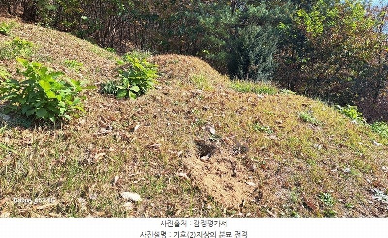 2024타경88163 경기도 연천군 신서면 답곡리 산123 임야 경매 이미지
