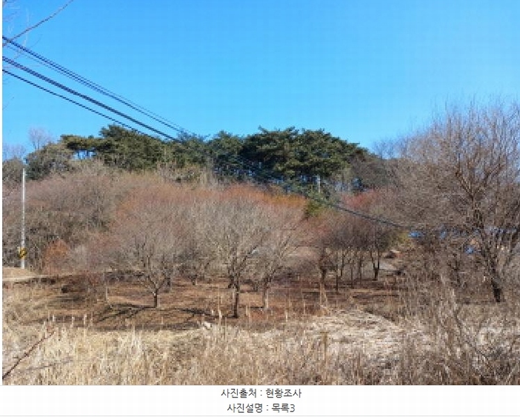 2025타경339 충청남도 당진시 석문면 교로리 723 농지 경매 이미지