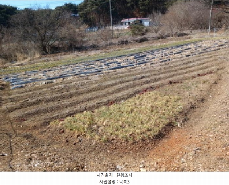 2025타경339 충청남도 당진시 석문면 교로리 723 농지 경매 이미지