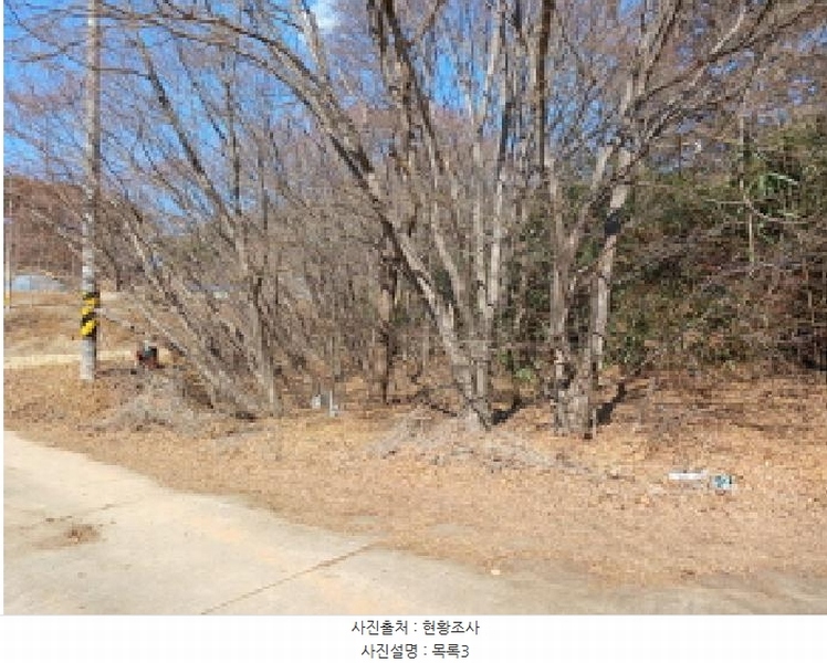 2025타경339 충청남도 당진시 석문면 교로리 723 농지 경매 이미지