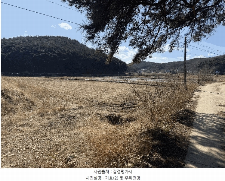 2025타경339 충청남도 당진시 석문면 교로리 205 농지 경매 이미지