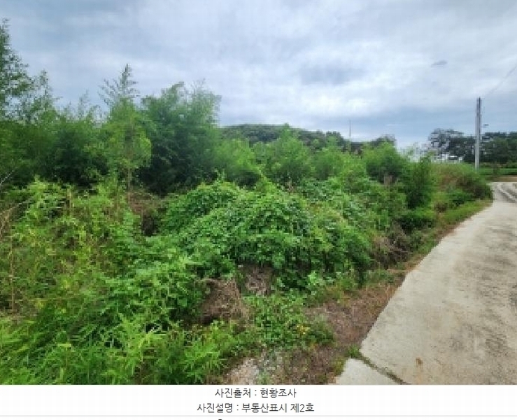 2025타경319 전북특별자치도 부안군 부안읍 연곡리 251 농지 경매 이미지