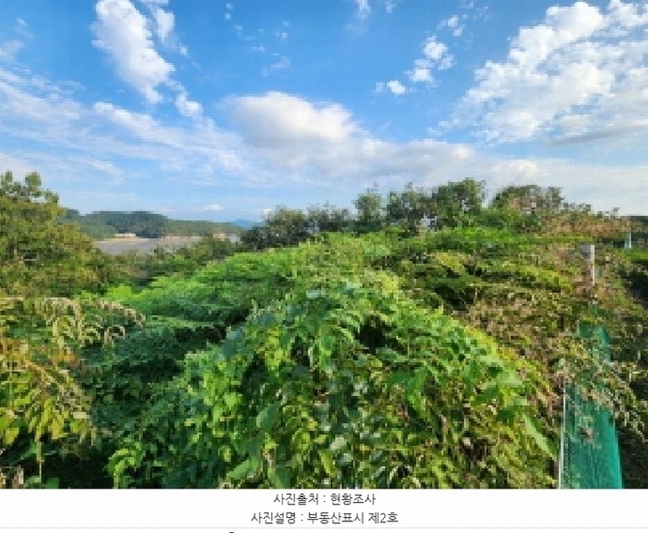 2025타경336 전북특별자치도 부안군 변산면 도청리 96-1 농지 경매 이미지