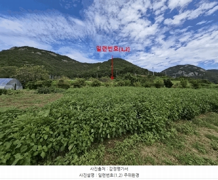 2025타경336 전북특별자치도 부안군 변산면 도청리 96-1 농지 경매 이미지