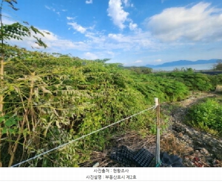 2025타경336 전북특별자치도 부안군 변산면 도청리 96-1 농지 경매 이미지