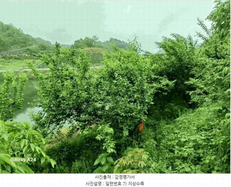 2025타경421 전라남도 광양시 진월면 신아리 22 농지 경매 이미지