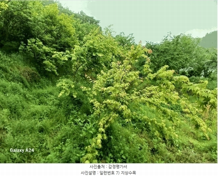 2025타경421 전라남도 광양시 진월면 신아리 22 농지 경매 이미지