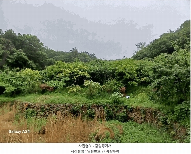 2025타경421 전라남도 광양시 진월면 신아리 22 농지 경매 이미지