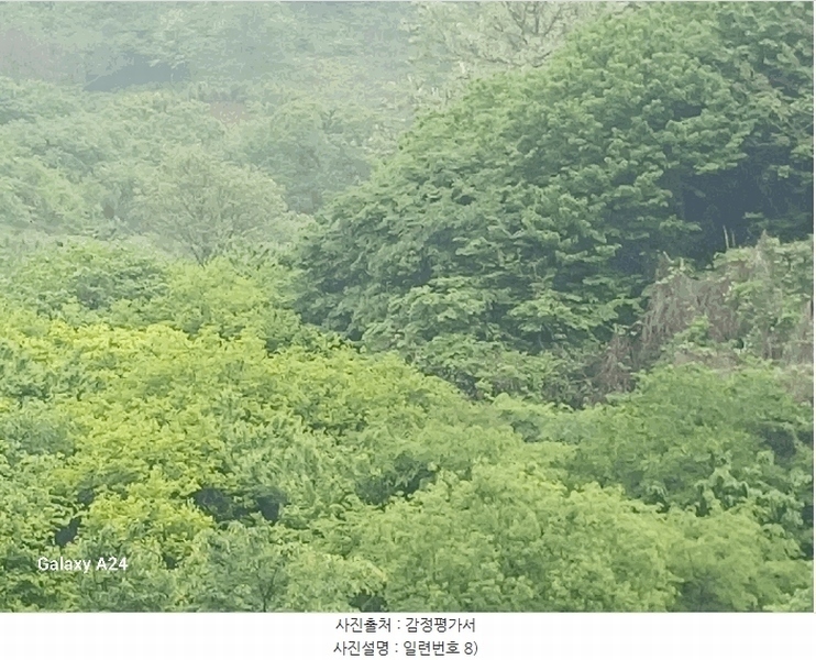 2025타경421 전라남도 광양시 진월면 신아리 22 농지 경매 이미지