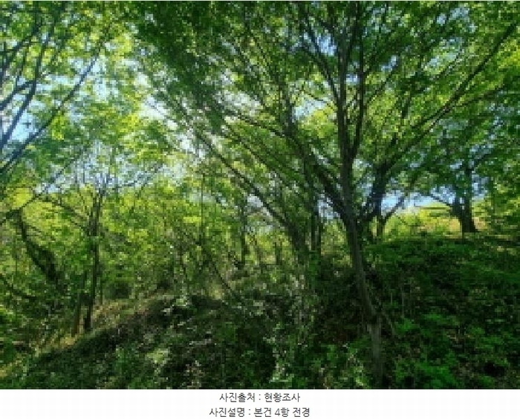 2025타경421 전라남도 광양시 진월면 신아리 22 농지 경매 이미지